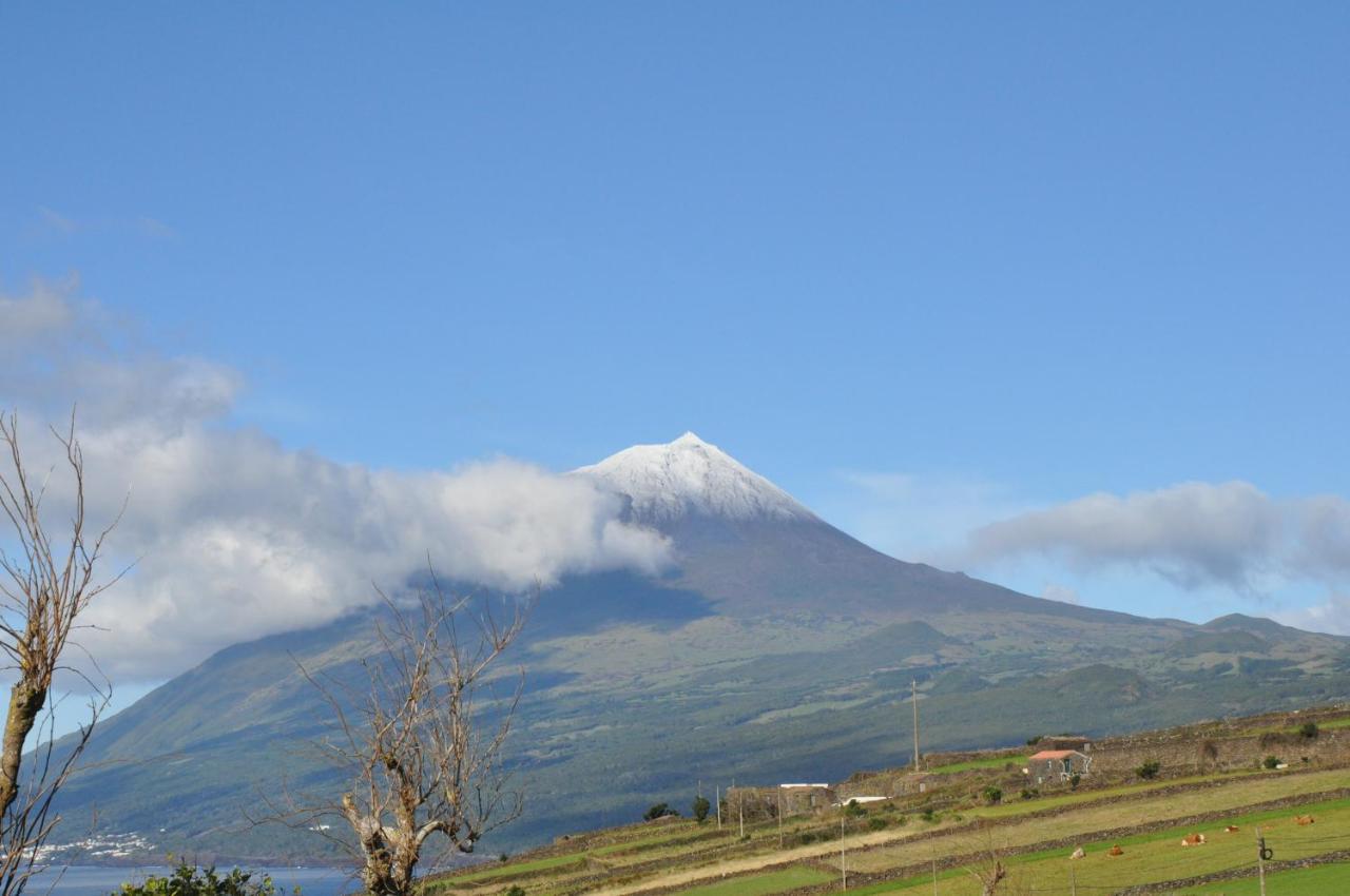 Willa Casa Da Abrotea Lajes do Pico Zewnętrze zdjęcie