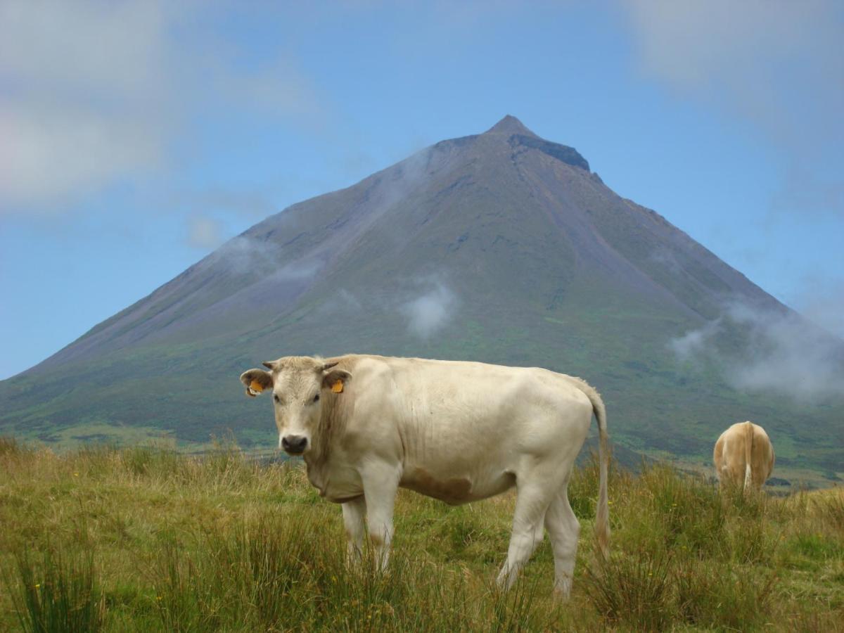 Willa Casa Da Abrotea Lajes do Pico Zewnętrze zdjęcie