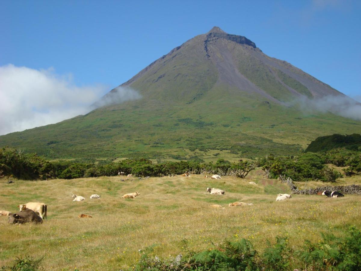 Willa Casa Da Abrotea Lajes do Pico Zewnętrze zdjęcie